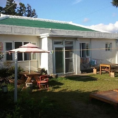 Sheelddi Pension Seogwipo Exterior photo