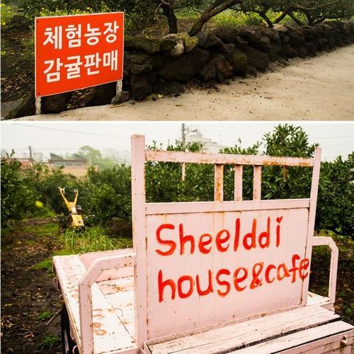 Sheelddi Pension Seogwipo Exterior photo